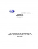 PLAN OPERATIVO PARA LA PLANIFICACION DE LA EMPRESA “FRIGORIFICO INDUSTRIAL LOS ANDES C.A” (F.I.L.A.C.A)