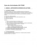 Guia de Actividades MI PYME