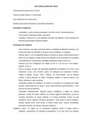 LOS CASTELLANOS DEL PERÚ