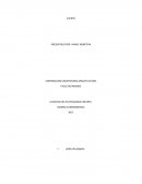 IMPORTANCIA DE TURISMO