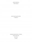 TRABAJO COLABORATIVO APORTE INDIVIDUAL