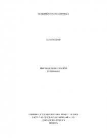 FUNDAMENTOS DE ECONOMÍA ELÁSTICIDAD. Página 1
