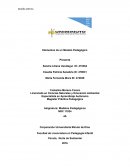ANÁLISIS CRÍTICO COMPONENTES DE LA PEDAGOGIA