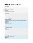 Modulo induccion