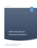 Análisis de los conflictos y negociación en las empresas familiares.