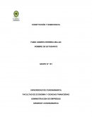 CONSTITUCIÓN Y DEMOCRACIA. ADMINISTRACION DE EMPRESAS