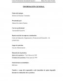 Informe de prácticas terminales