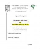 Dimensiónes de Grupo modelo