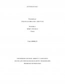 INTELIGENCIA Y CREATIVIDAD ACTIVIDAD