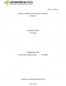 Estructura Organizacional Del Estado Colombiano