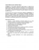 Crisis CARACTERÍSTICAS DEL SISTEMA FAMILIA
