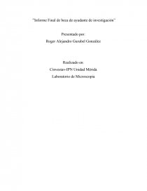 Measurement of the temperature coefiicient.. Página 1