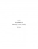 Emprendimiento De Productos Tecnológicos - Control 1.