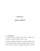 PROYECTO METODOLOGIA - MARCO TEORICO