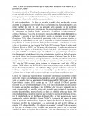 Ensayo sobre los posibles determinantes que de algún modo incidieron en la masacre de 50 personas en Orlando