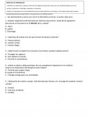 Nuestro organismo está formado por diversas estructuras. ¿Cuál de las siguientes estructuras se encuentra en el interior de tu cuerpo?