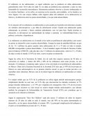 El gran Embarazo en adolecensia