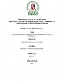 GESTIÓN OPERATIVA, ADMINISTRATIVA Y ESTRATÉGICA DE UN PROYECTO