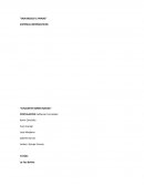 SISTEMAS INFORMATICOS “AYUDANTE SOBRE RUEDAS”