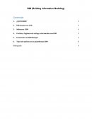 BIM (Building Information Modeling)