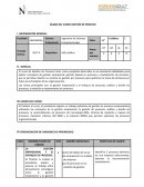 SÍLABO DEL CURSO GESTIÓN DE PROCESO