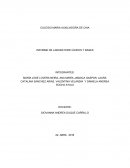 COLEGIO MARIA AUXILIADORA DE CHIA INFORME DE LABORATORIO ÁCIDOS Y BASES