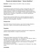 Todo acerca de Que el niño construya el sector de ciencias, y que con éste investigue, hipotetice y experimente, y amplíe su conocimiento del medio natural que lo rodea.