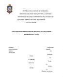 Laboratorio de Mecanica de los Fluidos