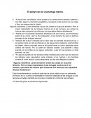 El peligro de ser una tartuga marina