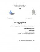 TEMA DE EL NIÑO PREESCOLAR “DESARROLLO Y APRENDIZAJE