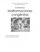 Anatomía I Malformaciones congénitas