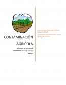 CONTAMINACION AGRICOLA