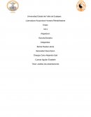 Calidad de vida geriátrica: factores determinantes y estrategias para mejorarla