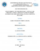 ENSAYO SOBRE EL “INCUMPLIMIENTO DEL CAPITULO V DEL CÓDIGO DE LA NIÑEZ Y ADOLESCENCIA POR LOS SEÑORES MAYORISTAS DEL MERCADO CENTRAL, MACHALA PROVINCIA DE EL ORO.”