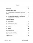 Publicidad Digital Eficaz