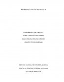 INFORME EJECUTIVO TRÓPICOS COLOR