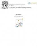 Velocidad de reacción, ácido oxálico con permanganato de potasio