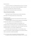 Período de instrucción. En la Instrucción se deberá