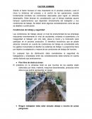 Factor hombre Condiciones de trabajo y seguridad