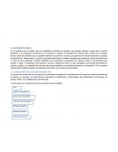 Tema- ¿Por qué se haya tantas opiniones distintas sobre el significado de la vida?