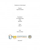 Tarea 2 gestion integral unad