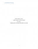 ROJO COMO EL CIELO-ANALISIS