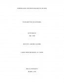 FUNDAMENTOS DE ECONOMIA ACTIVIDAD #1