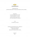 Actividad 10 trabajo colaborativo elaborar mapas mentales de los cuentos y lámparas