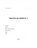 FACULTAD DE TECNOLOGIA PRACTICA DE CAMPO N° 1