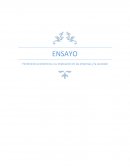 Fenómenos económicos y su implicación en las empresas y la sociedad