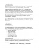 Alcoholismo. Efectos del alcohol y consecuencias