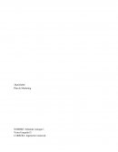 TRANSINC Plan de Marketing