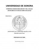 Aislamiento y caracterización de un bacteriófago especifico contra Klebsiella pneumonia