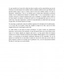 Caso evolutiva adultez media